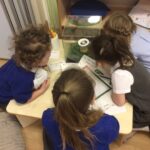 young pupils looking at an object and making notes on paper
